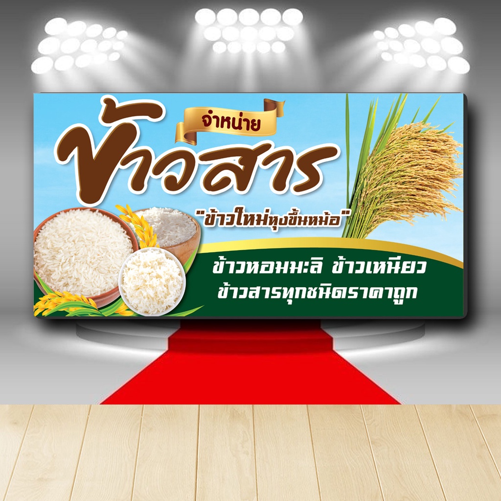 อัลบั้ม 92+ ภาพพื้นหลัง แมงข้าวสาร คมชัด