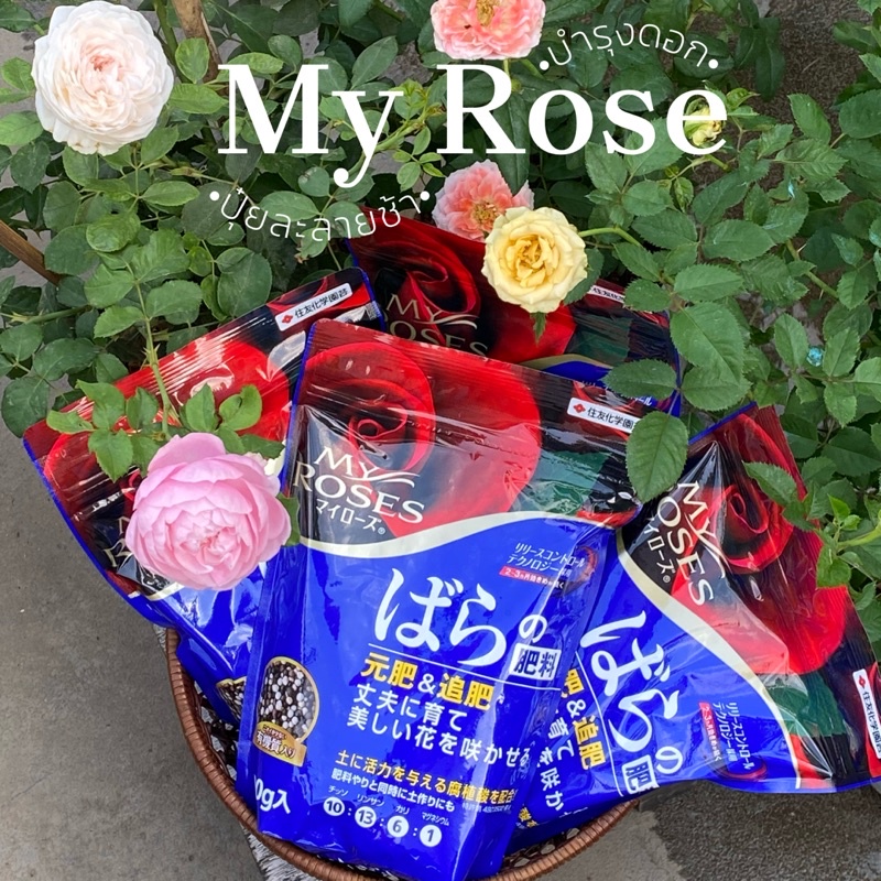 📍พร้อมส่ง📍 ปุ๋ยกุหลาบ My rose ถุงน้ำเงิน🌹: ปุ๋ยดอก เร่งสี สูตร 10:13:6:1 (J004)