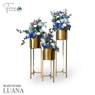 PLANT STAND LUANA Stainless Standing Planters ลูน่า