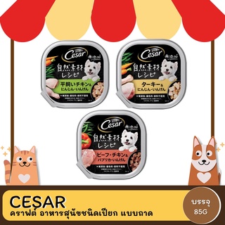 CESAR คราฟต์ อาหารสุนัขชนิดเปียก แบบถาด 85G