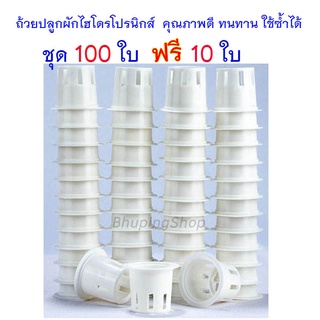 ถ้วยปลูกผักไฮโดรโปรนิกส์ (ชุด 100 ใบ ฟรี 10ใบ) |กระถางปลูกผักสลัด ชุดถ้วยปลูกผักไฮโดรฯ พลาสติกหนา ทนทาน ใช้ซ้ำได้