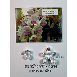 พิมพ์ตัดดอกช้างกระ ขนาดกลาง แบบรวมกลีบ