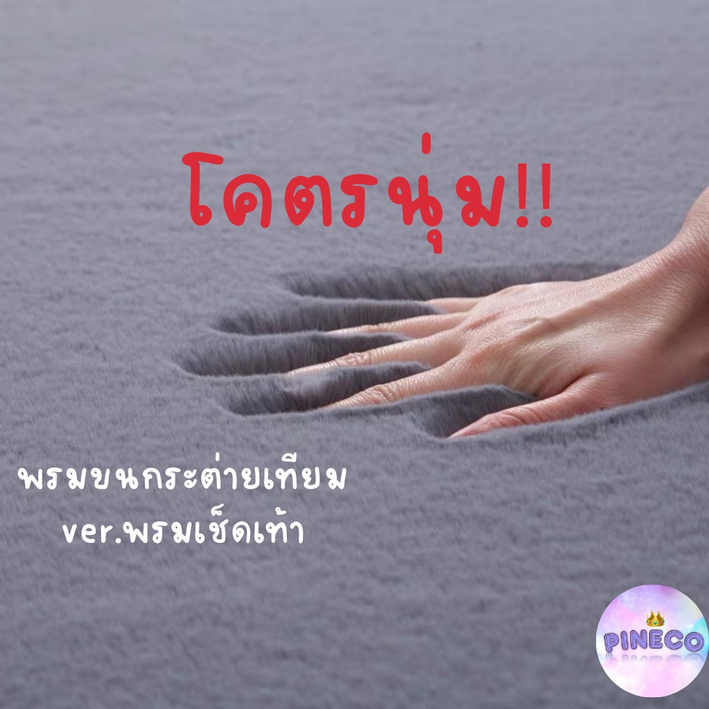 ไลฟ์ลด30% !! พรมเช็ดเท้า พรมขนกระต่ายเทียม พรม พรมปูพื้น พรมห้องนั่งเล่น พรมห้องนอน พรมขนยาว หลายขนาด ราคาถูกที่สุด!!