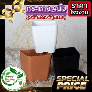 [มีส่วนลด 60บาท]กระถาง 4นิ้ว ไร้ขอบ แพ๊ค50,100,200ใบ By.คิม เกษตรเงินล้าน