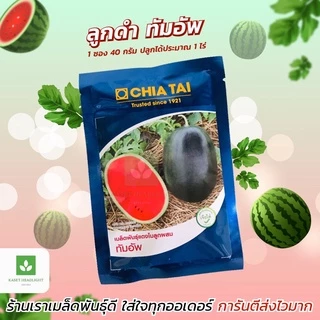ซองละ 40กรัม แตงโมทัมอัพ แตงโมดำ เมล็ดพันธุ์ แตงโม เจียไต๋ เมล็ดแตงโม ทัมอัพ