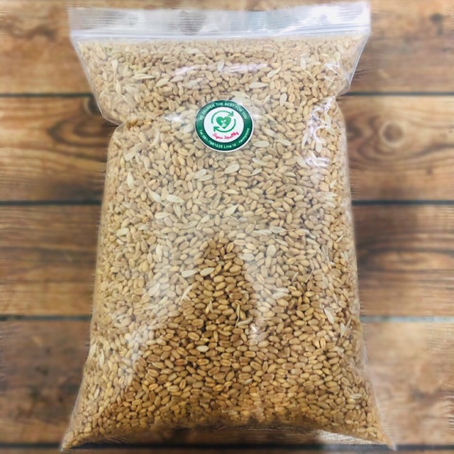 เมล็ดข้าวสาลี เกรดพรีเมียม ปลอดสารพิษ ออแกนิก 100% 1 กิโลกรัม