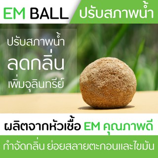 EM ball บำบัดน้ำเสีย ย่อยสลายตะกอนและไขมันบ่อพักน้ำ ลดกลิ่นผลิตจากหัวเชื้ออีเอ็มคุณภาพดี