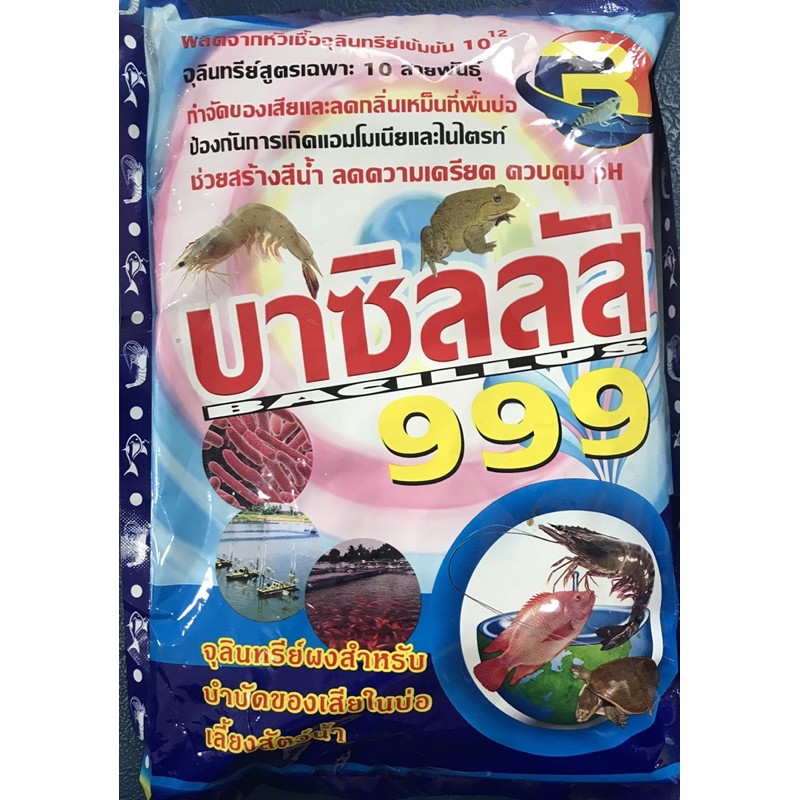 จุลินทรีย์ บาซิลลัส ผงจุลินทรีย์ จุลินทรีย์ผง ปรับสภาพน้ำ จุลินทรีย์ช่วยย่อยสลาย 999