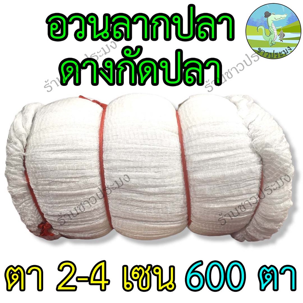 อวนล้อมปลา ดางกัดปลา 2,2.5,3,3.5,4 เซน ด้ายลัง 6 แบ่งขายเป็นเมตร ดางกวดปลา ดางลากปลา ดางกวด ดางกัด
