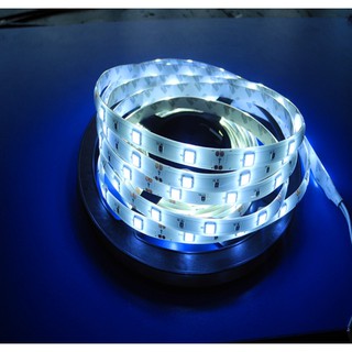 Ip67 White ไฟ led เส้น Strip 12v 5050 Eco 60leds/m 5m กันน้ำ