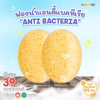 ฟองน้ำรูปไข่แอนตี้แบคทีเรีย ANTI-BACTERIA นูเบบ