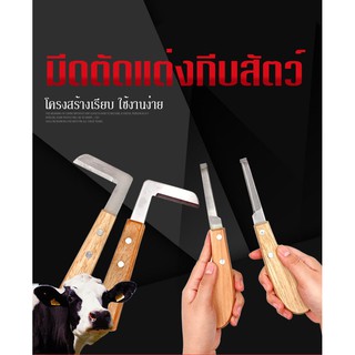 แต่งกีบเท้าสัตว์ 1ชิ้น มีดแต่งกีบ อุปกรณ์สำหรับตัดแต่งกีบเท้าสัตว์ วัว โค แพะ แกะ ม้า