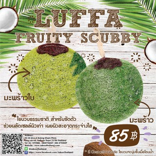 Luffa fruity scubby Coconut - ใยบวบธรรมชาติขัดตัวมะพร้าว