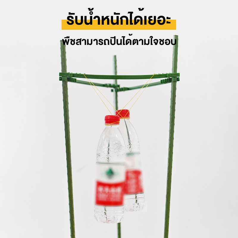 ไม้ค้ำต้นไม้ DIY โครงปลูกผัก เสามะเขือเทศ เหล็กเคลือบพลาส ซุ้มไม้เลื้อย ยาว90-120ซม. หนา8มม. ไม้ค้ำยันต้นไม้ ค้างต้นไม้ ราคา ถูกที่สุด ดีลบีเคเค แกลเลอรีภาพที่ 2