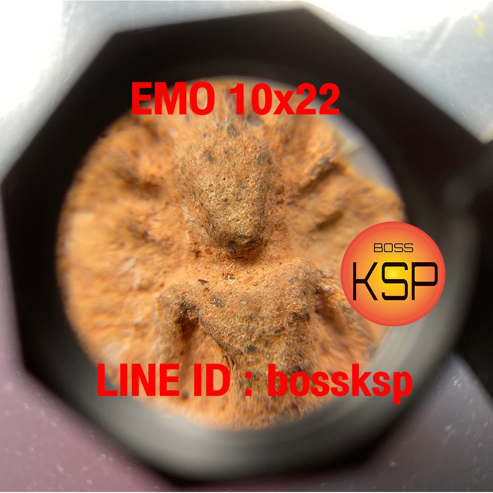 รูปภาพ 4