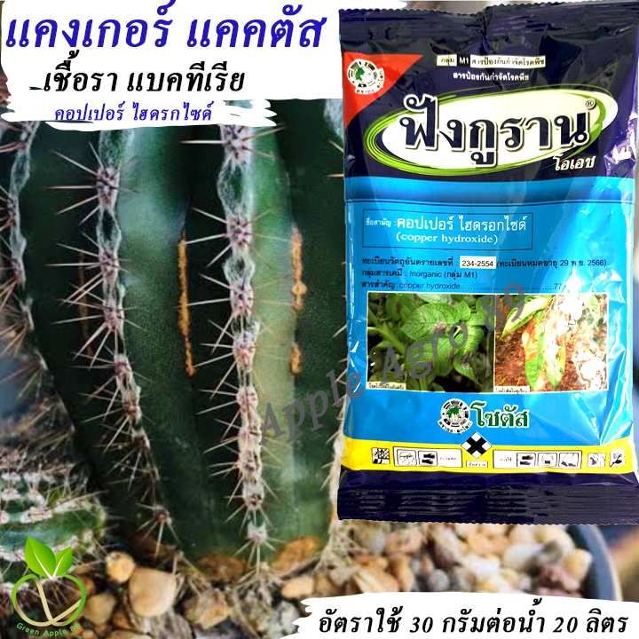 ฟังกูราน ขนาด 100 กรัม คอปเปอร์ไฮดรอกไซด์ แคงเกอร์ ฟังกรูราน ยาแคงเกอร์ โรคแคงเกอร์ ฟังกุราน คอปเปอร์ไฮดรอก คอปเปอร์