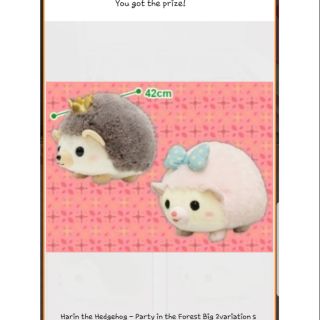 ตุ๊กตา Amuse ของแท้นำเข้าจากญี่ปุ่น Harin the Hedgehog-Party in the Forest Big (มีตัวสีน้ำตาลค่ะ)