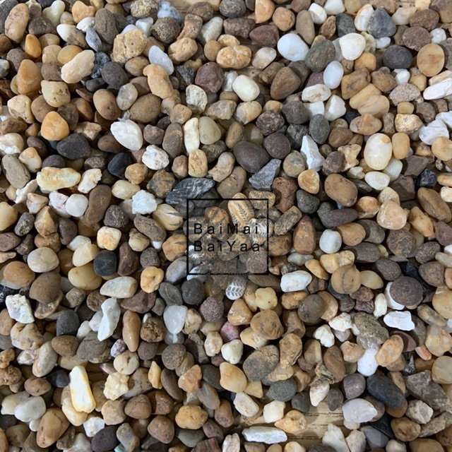 หินกรวดแม่น้ำ ขนาด 0.5 Mm. / 200 G. | Shopee Thailand