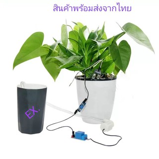 รดน้ำต้นไม้อัตโนมัติ Garden Automatic Watering