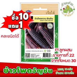 (ซื้อ10แถม1) เมล็ดพันธุ์ ข้าวโพด อัญชัน Sweet corn anchan ประมาณ 80เมล็ด เจียไต๋ เมล็ดพันธุ์พืช เมล็ดพันธุ์ผัก เมล็ดผัก