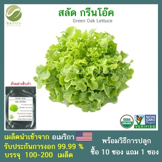 เมล็ดกรีนโอ๊ค (เพ็นเนสซี่ ) 100-200 เมล็ด