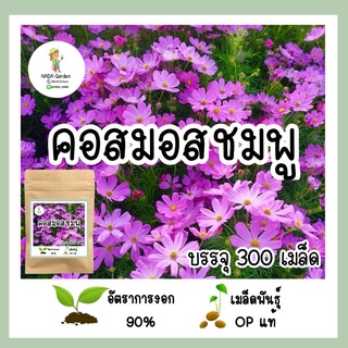 เมล็ดพันธุ์คอสมอสสีชมพู 300เมล็ด