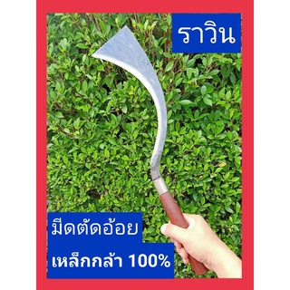 มีดตัดอ้อย ด้ามไม้ ราวิน