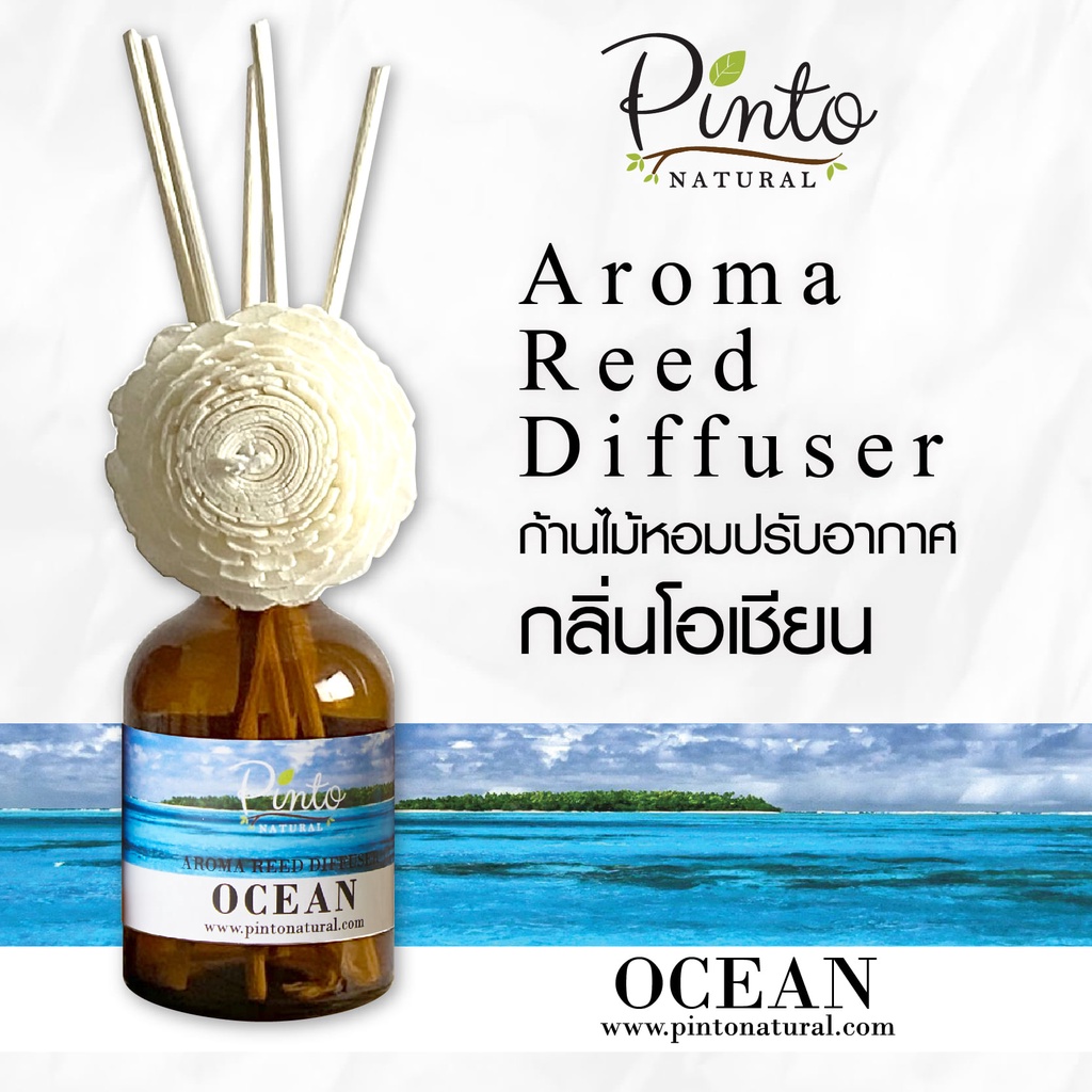 Pinto Natural Reed Diffuser Ocean ก้านไม้หอมปรับอากาศ กลิ่นโอเชียน ขนาด 50ml. และ 100ml.