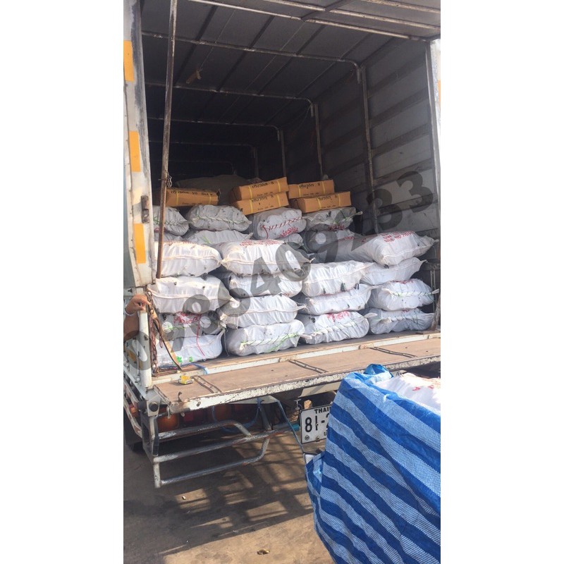 รูปภาพ 4