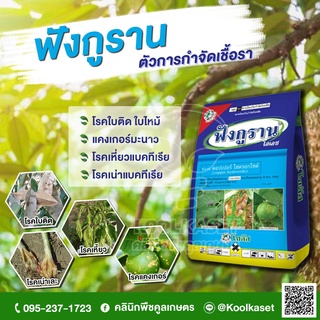 ฟังกูราน1กิโลกรัม  กำจัดโรคที่เกิดจากเชื้อแบคทีเรียเชื้อรา โรคแคงเกอร์ โรคใบติด โรคเหี่ยวเน่า โรคใบไหม้ คูลเกษตร KF17