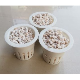 ถ้วยปลูกผักไฮโดรโปนิกส์ สีขาวเกรด A ปลูกในแบบใส่เพอร์ไลท์และ…