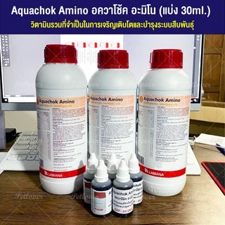 Aquachok Amino วิตามินรวมและกรดอะมิโนที่จำเป็น (แบ่ง 30ML)