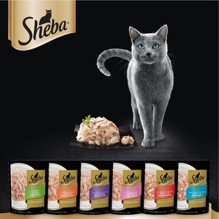 [12ซอง] Sheba ชีบ้าเพาซ์ 70กรัม อาหารแมว ซองเปียก ชีบ้า Sheba cat pouch