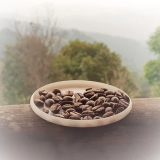 เมล็ดกาแฟ อราบิก้า ปางขอน คั่วอ่อน 500 กรัม / Arabica 100% Cinnamon Light Roast 500g.