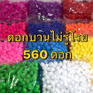 ดอกบานไม่รู้โรย คุณภาพดี บรรจุ540-560 ดอก บานไม่รู้โรยพลาสติก ดอกไม้ตกแต่ง พานพุ่ม ดอกไม้ประดิษฐ์ DIY ตกแต่งสวน Amaranth