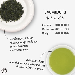 KYOBASHI - SENCHA ชาเขียว เซนฉะ สายพันธุ์สะเอะมิโดะริ