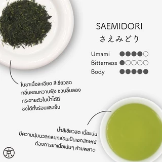 KYOBASHI - SENCHA Saemidori Sencha ชาเขียว เซนฉะ สายพันธุ์สะเอะมิโดะริ