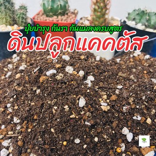 ดินปลูกแคคตัส ดินปลูกกระบองเพชร และไม้อวบน้ำ สูตรโปร่งพิเศษ รากเดินดี  ปุ๋ยบำรุง กันรา กันแมลงครบสูตร ดินปลูกผสมเสร็จ