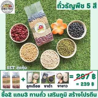 [ชุดสุดคุ้มซื้อ2แถม3 ถั่วธัญพืช5สี เสริมภูมิสร้างโปรตีน] ถั่วธัญพืช5สี 500g ในถุงสูญญากาศ2ถุง แถมฟรี ลูกเดือย งาดำ งาขาว