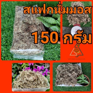 150 กรัม สแฟกนั่ม มอส (Sphagnum Moss)