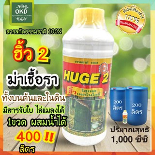 ฮิ้ว2 Huge 2 หยุดเชื้อรา ขยายรากฝอย หน้ายางนิ่ม กรีดง่าย ผลผลิตออกดี สารสกัดไคโตซานธรรมชาติ 100%  เป็นสารจับใบในตัว