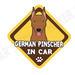 สติกเกอร์ติดรถ สติ๊กเกอร์ติดรถยนต์ สติกเกอร์หมา DGA104  German Pinscher