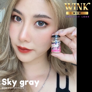 Sky Gray (1) Wink / ATO บิ๊กอาย สีเทา เทา เน้นขอบดำ Contact Lens ค่าสายตา สายตาสั้น แฟชั่น สายตาปกติ ตาโต โทนแบ๊ว สกี