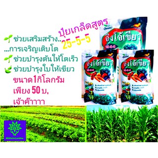 ปุ๋ยเกล็ด สูตร 25-5-5 ปุ๋ยเร่งเขียว ขนาด 1กิโลกรัม ช่วยส่งเสริมการเจริญเติบโตของต้นพืช ให้ต้นเติบโตไว  และ ใบจะเขียวทน