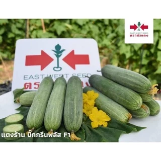 แตงร้าน บิ๊กกรีนพลัส 100 กรัม