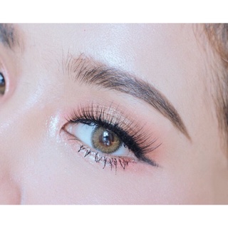 🍁Bigeyes/Mini Milene Brown/Gray🍁สายตาปกติถึง-4.50(Kitty kawaii)