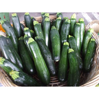 เมล็ด ฟักทองซูชินี่ แบล็คบิวตี้ - Black Beauty Zucchini Squash