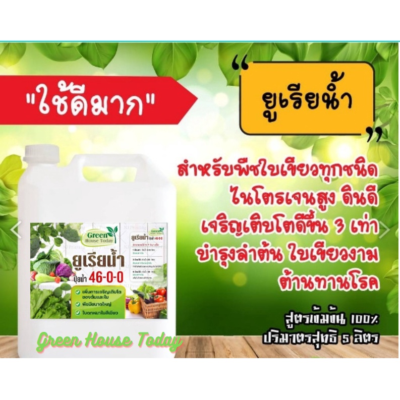 ยูเรียน้ำ 46-0-0 ขนาด 5 ลิตร  ไนโตรเจนสูง อินทรีย์ชีวภาพ ปุ๋ยน้ำ พืช ใบเขียว โตเร็ว แตกตา ปุ๋ยหมัก e