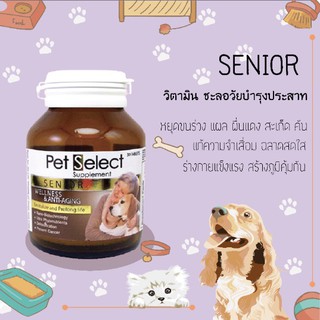 SENIOR ผลิตภัณฑ์เสริม สำหรับน้องหมาสูงอายุ