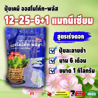 ออสโมโค้ท-พลัส 12-25-6+1% แมกนีเซียม ( 1 กิโลกรัม ) 🌺 ออสโมโคท ปุ๋ยสูตรเร่งดอก ปุ๋ยเม็ด ละลายช้านาน 6 เดือน บอนสี ไม้กร